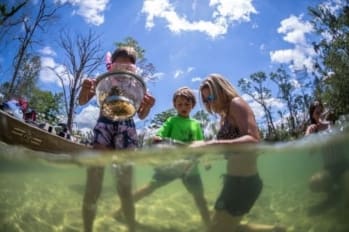 Family exploring in Spring Creek, fed by freshwater springs